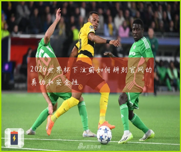 2026世界杯下注前如何辨别官网的真伪和安全性