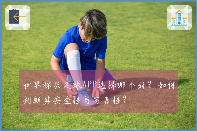 世界杯买足球APP选择哪个好？如何判断其安全性与可靠性？