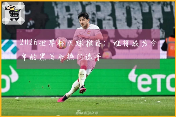 2026世界杯买球推荐：谁将成为今年的黑马和热门选手