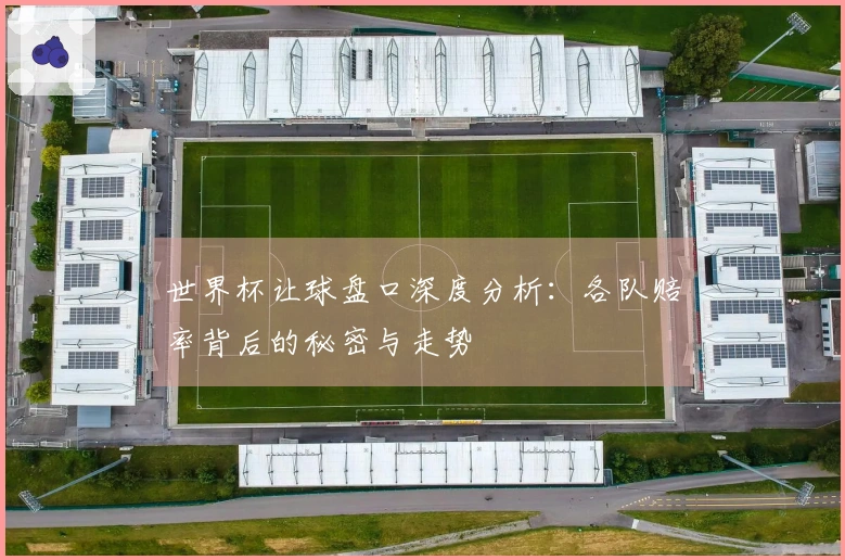 世界杯让球盘口深度分析：各队赔率背后的秘密与走势